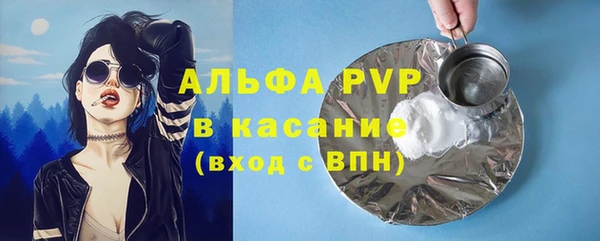 гидра Арсеньев