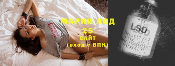 гидра Арсеньев