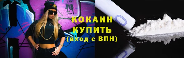 гидра Арсеньев