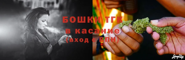 гидра Арсеньев