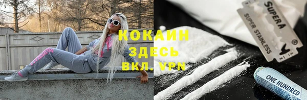 гидра Арсеньев