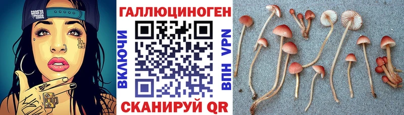 Галлюциногенные грибы мухоморы  даркнет сайт  Сорск 